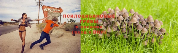ALPHA-PVP Алзамай