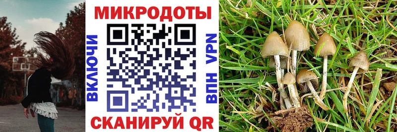 Галлюциногенные грибы Magic Shrooms  mega ссылки  Югорск 