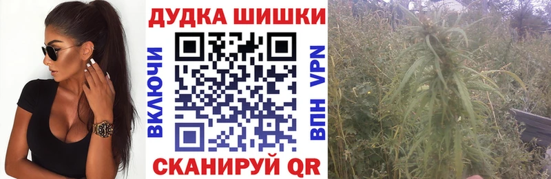 где купить наркотик  Югорск  Каннабис семена 